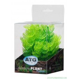 Premium Plastplante Mini 8-14 cm RP203