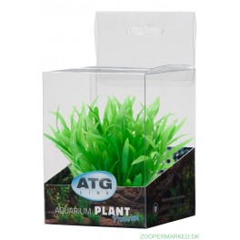 Premium Plastplante Mini 8-14 cm RP207