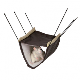 kål tjener Forslag Hængekøje i to etager til rotter eller andre små gnavere.